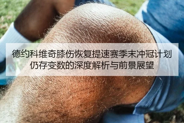 德约科维奇膝伤恢复提速赛季末冲冠计划仍存变数的深度解析与前景展望