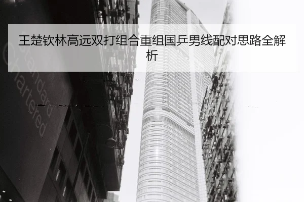 王楚钦林高远双打组合重组国乒男线配对思路全解析